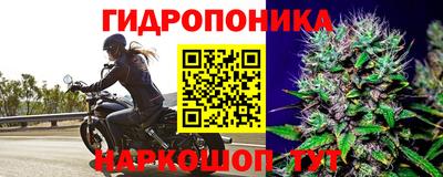 эйфоретик Свободный