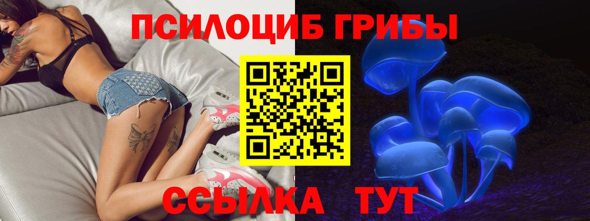 дарнет шоп  Галлюциногенные грибы Psilocybe  Вход с VPN  Нерюнгри 